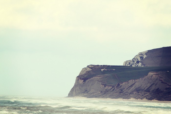 Le cas blanc nez depuis Wissant